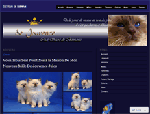 Tablet Screenshot of dejouvence.com